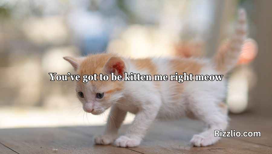 Cat Puns
