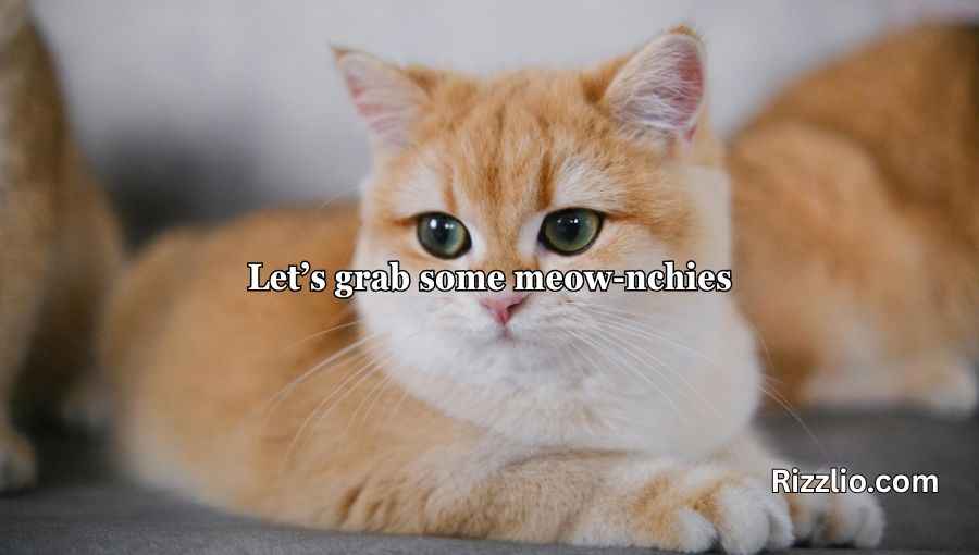 Cat Puns