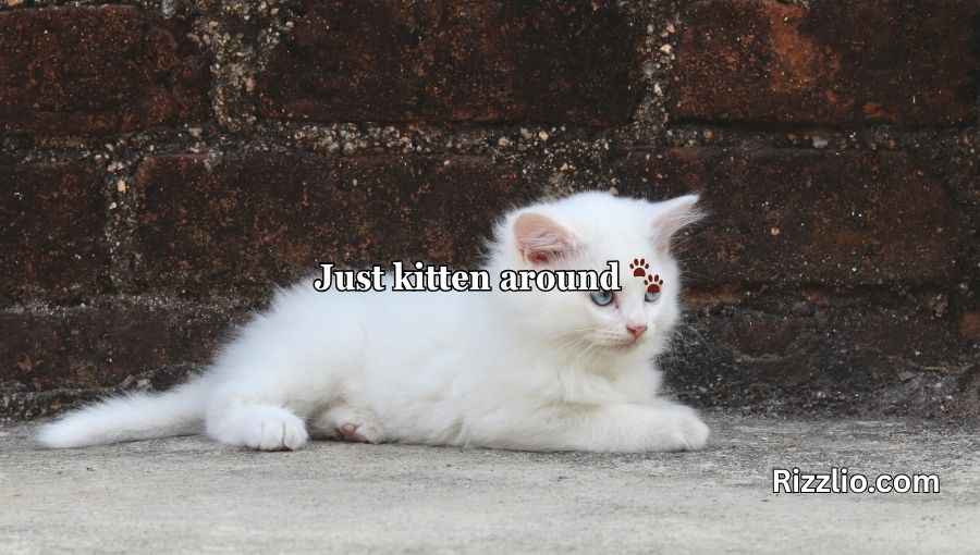 Cat Puns