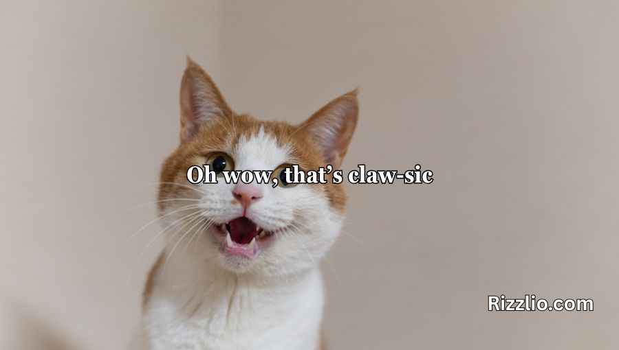Cat Puns