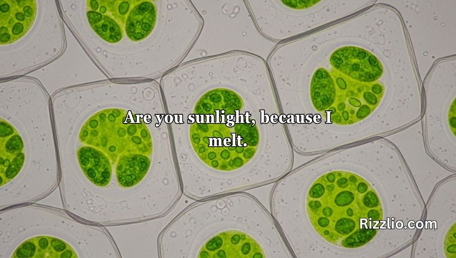 Chloroplast Pick Up Lines