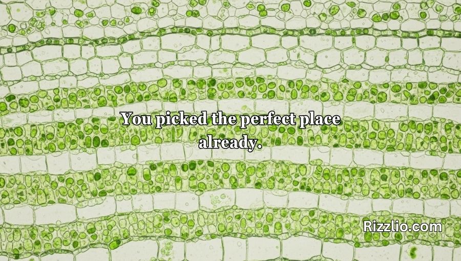 Chloroplast Pick Up Lines