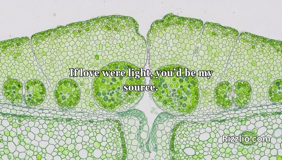 Chloroplast Pick Up Lines