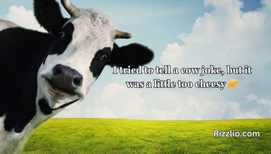 Cow Puns