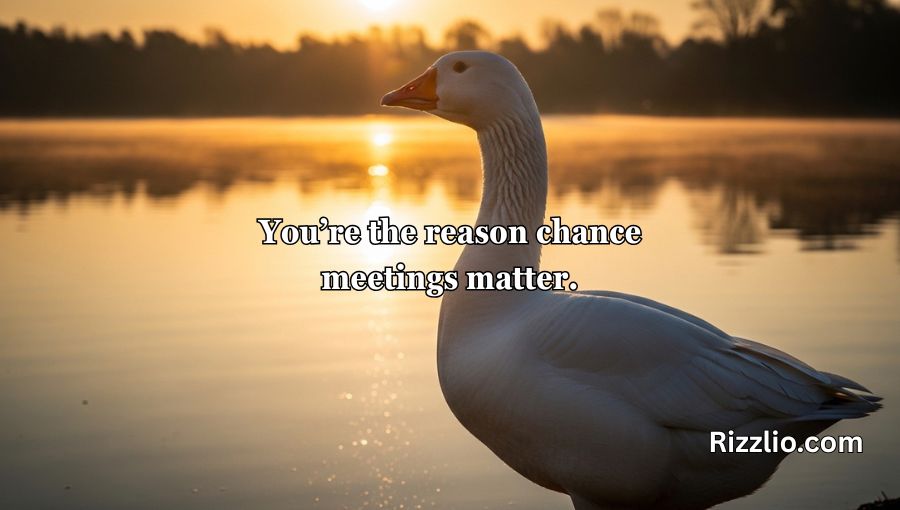 Goose Pickup Lines