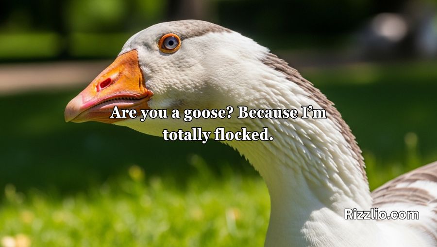 Goose Pickup Lines