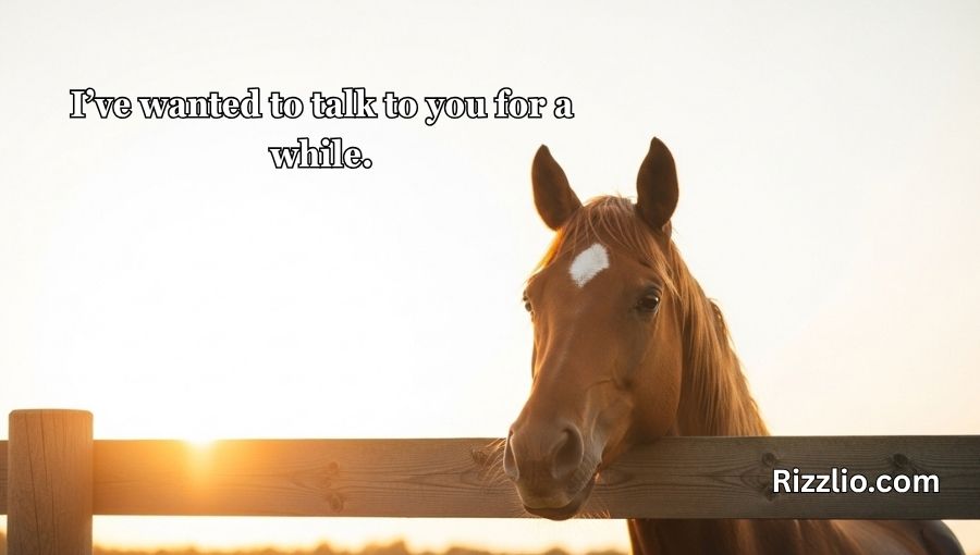 Horse Pick Up Lines