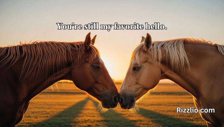 Horse Pick Up Lines