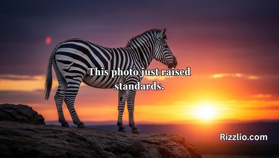 Zebra Pickup Lines