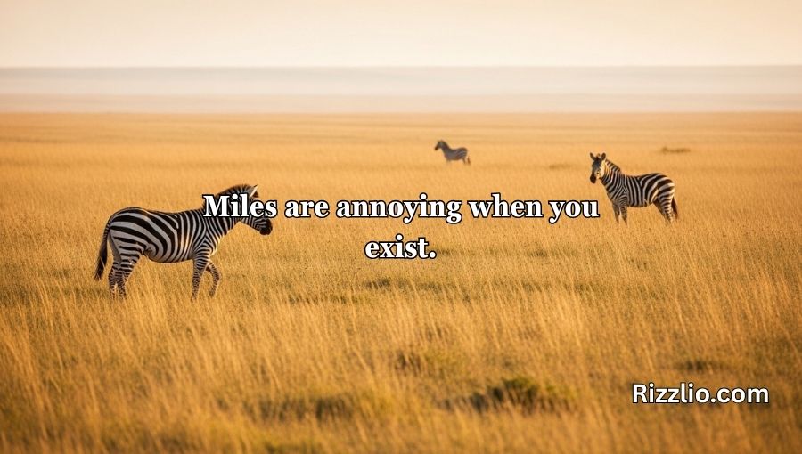 Zebra Pickup Lines