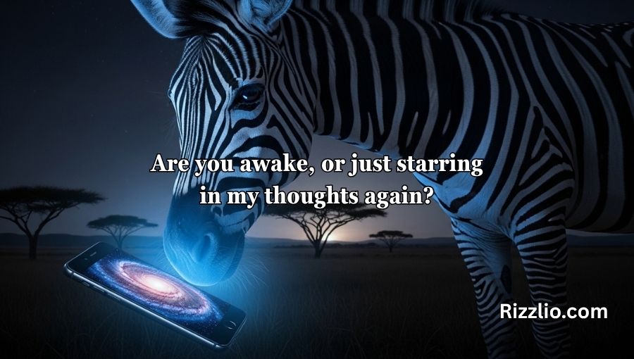 Zebra Pickup Lines