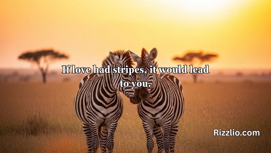 Zebra Pickup Lines
