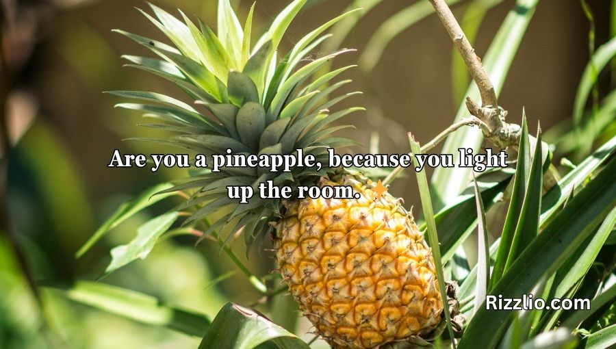 Pineapple Pick Up Lines