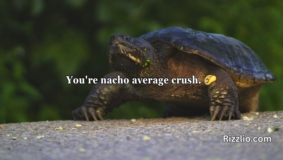 Turtle Pick Up Lines