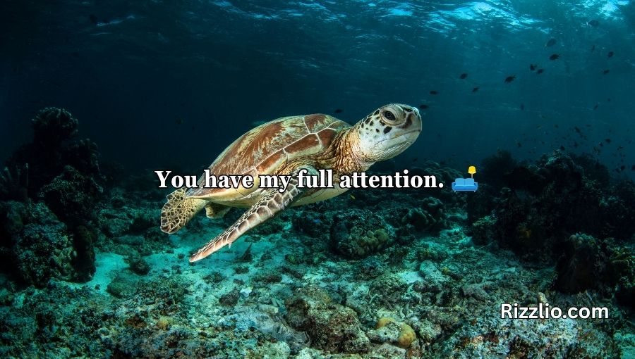 Turtle Pick Up Lines