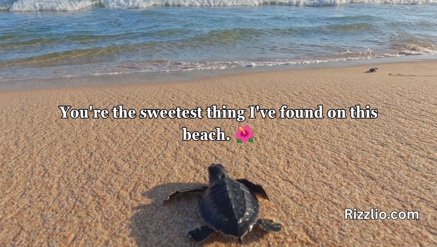 Turtle Pick Up Lines