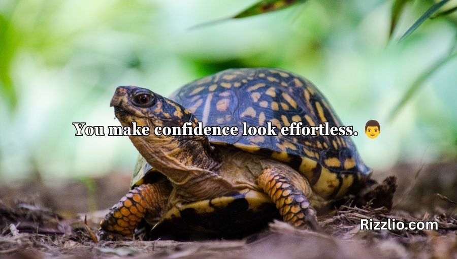 Turtle Pick Up Lines