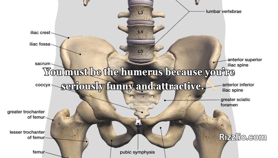 Anatomy Pick Up Lines