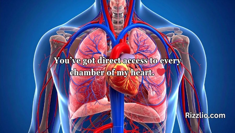Anatomy Pick Up Lines