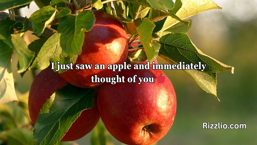 Apple Fruit Pick Up Lines