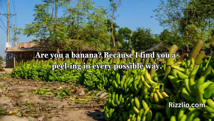 Banana Pick Up Lines