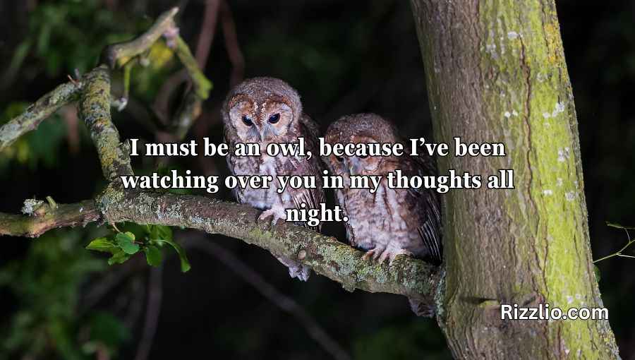 Best Owl Pick Up Lines