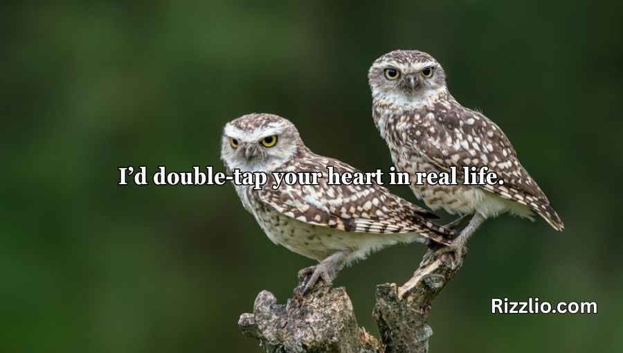 Best Owl Pick Up Lines