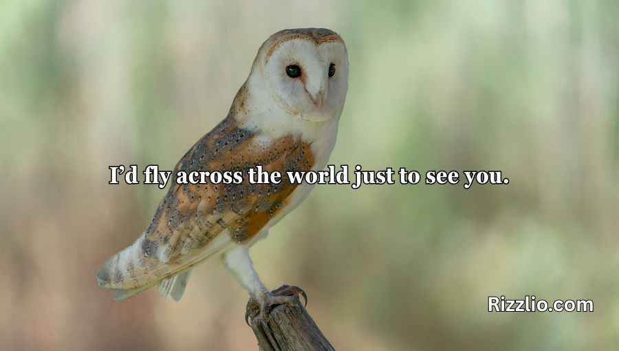 Best Owl Pick Up Lines