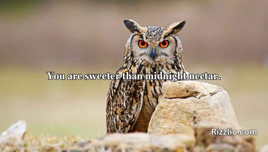 Best Owl Pick Up Lines