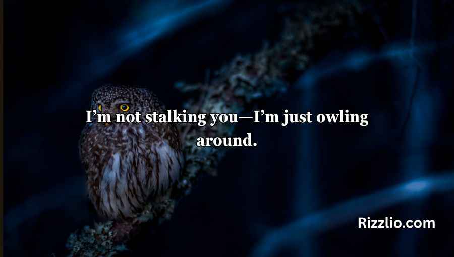 Best Owl Pick Up Lines