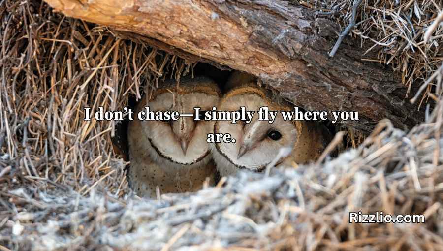 Best Owl Pick Up Lines