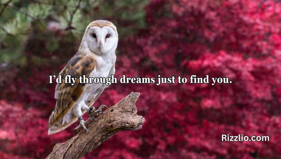 Best Owl Pick Up Lines