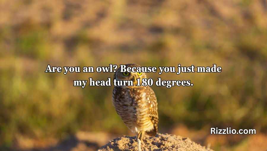 Best Owl Pick Up Lines