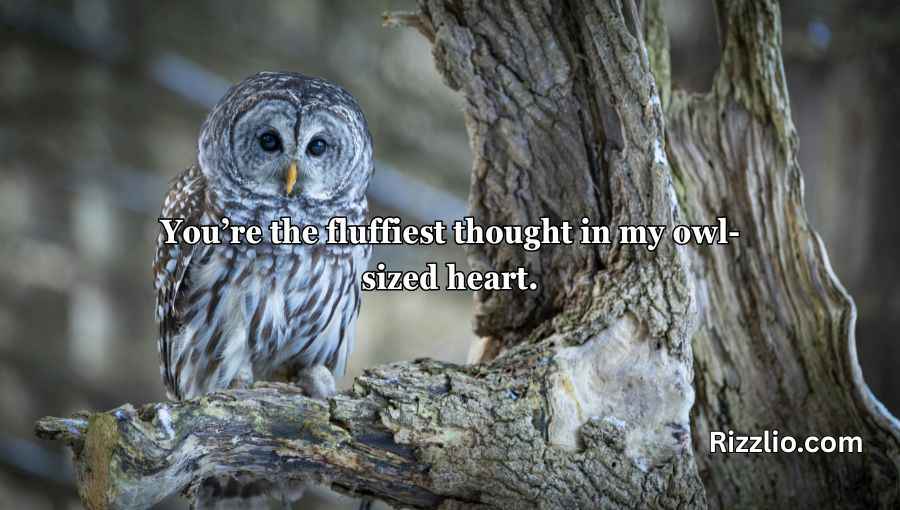 Best Owl Pick Up Lines