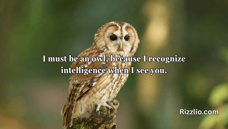 Best Owl Pick Up Lines
