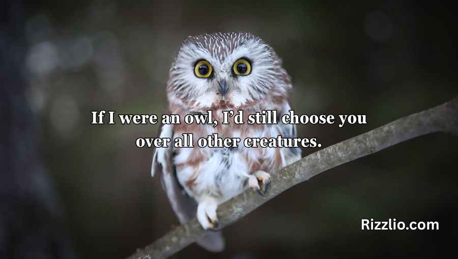 Best Owl Pick Up Lines