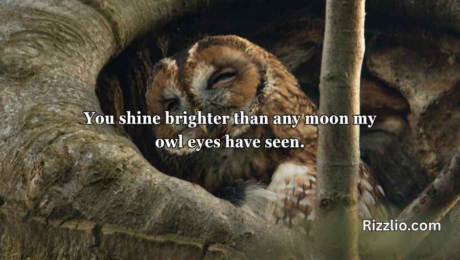 Best Owl Pick Up Lines
