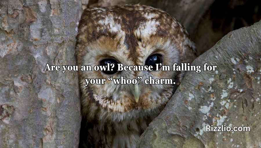 Best Owl Pick Up Lines