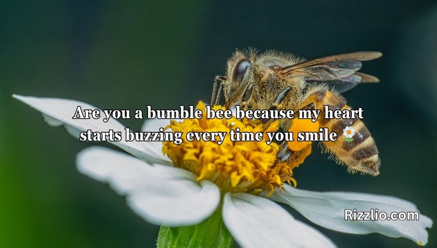 Bumble Bee Pick Up Lines