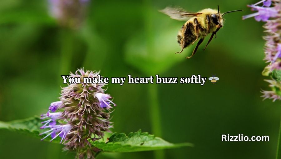 Bumble Bee Pick Up Lines