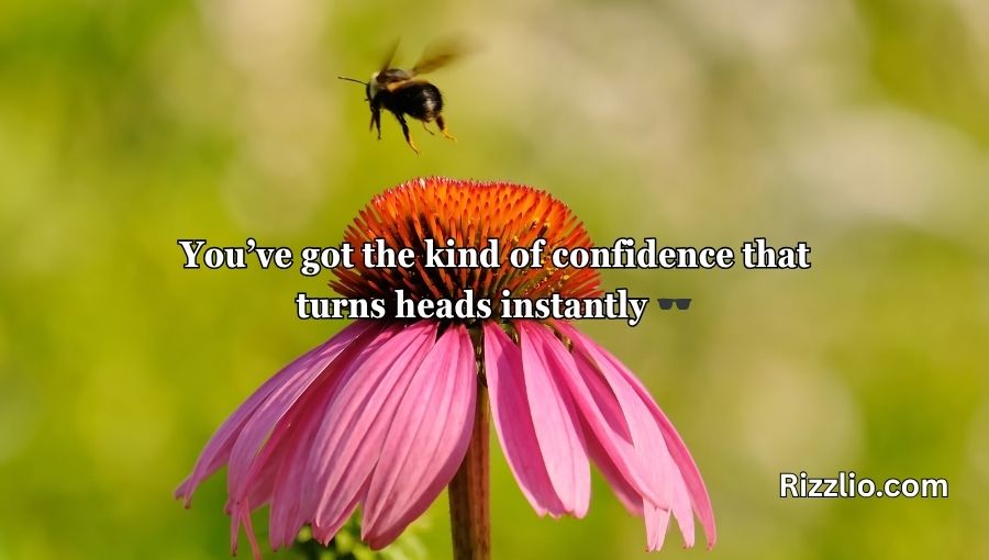 Bumble Bee Pick Up Lines