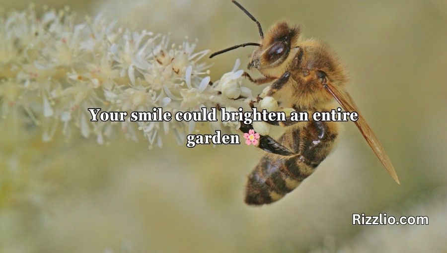 Bumble Bee Pick Up Lines