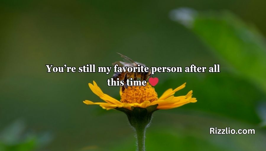 Bumble Bee Pick Up Lines
