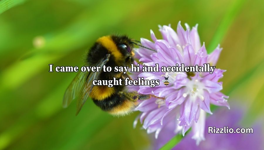 Bumble Bee Pick Up Lines