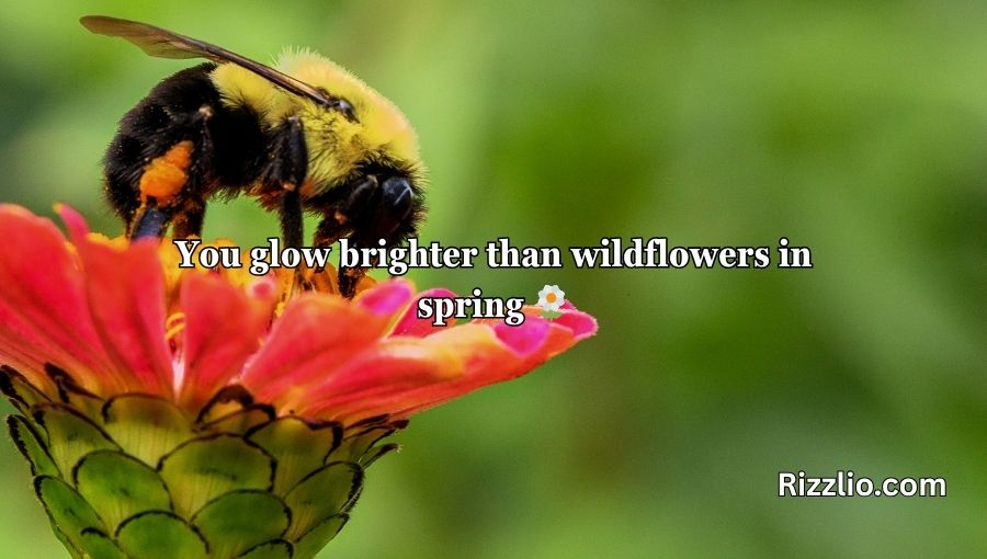 Bumble Bee Pick Up Lines