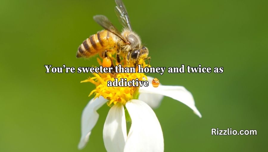 Bumble Bee Pick Up Lines