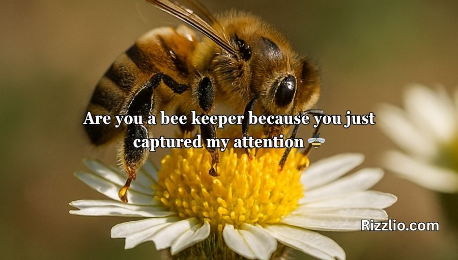 Bumble Bee Pick Up Lines