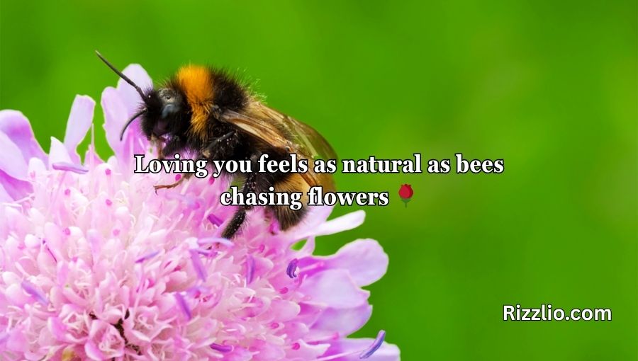 Bumble Bee Pick Up Lines