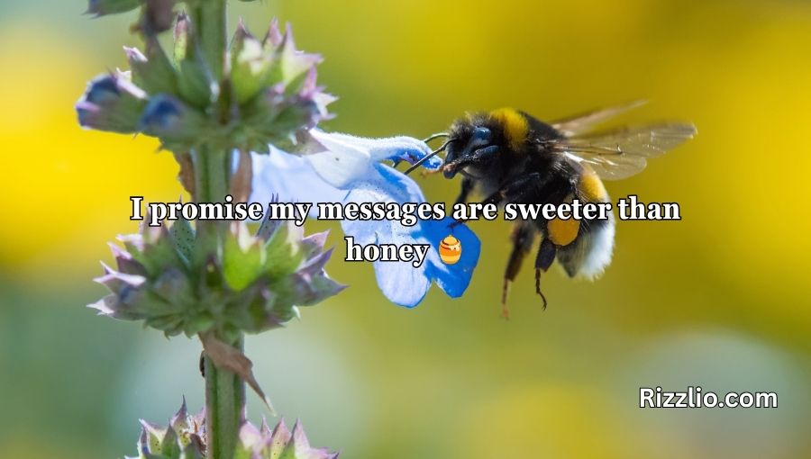 Bumble Bee Pick Up Lines