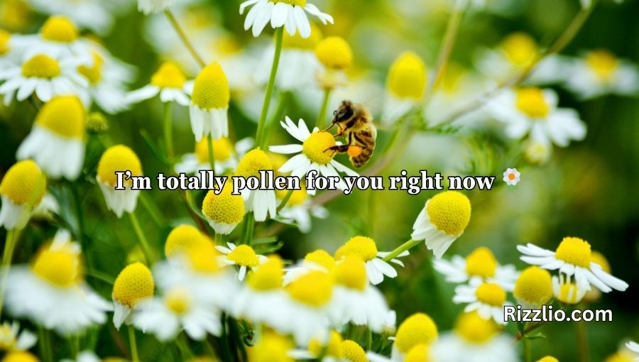 Bumble Bee Pick Up Lines